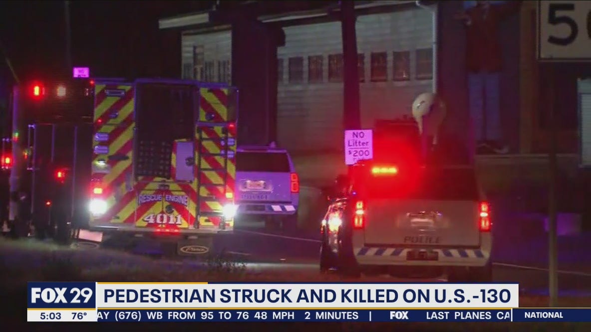 Pedestrian struck, killed on Route 130